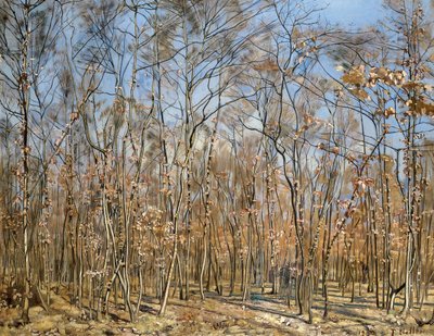 Floresta de faias, 1885-1894. de Ferdinand Hodler
