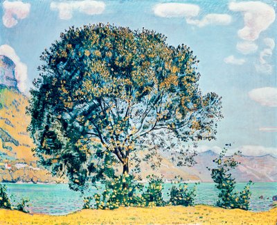 Imagem desconhecida de Ferdinand Hodler