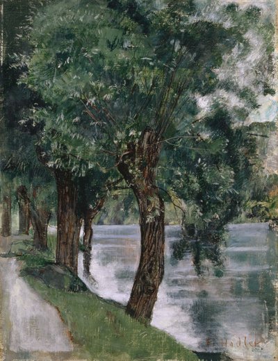 Árvores de salgueiro no Rhone, c.1885 de Ferdinand Hodler