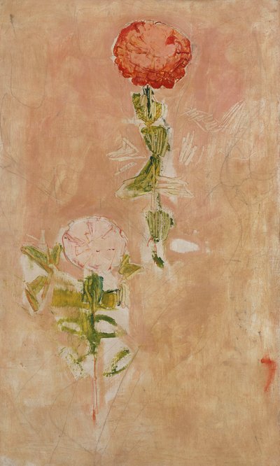 Cynia, estudar de Ferdinand Hodler
