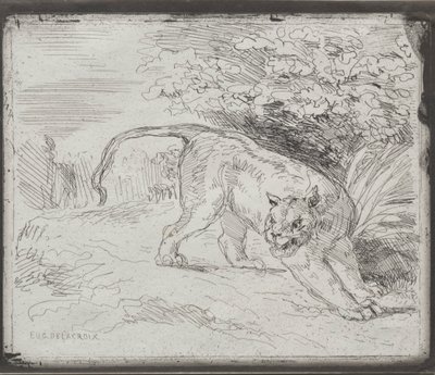 Um tigre preso, 1854. de Ferdinand Victor Eugene Delacroix