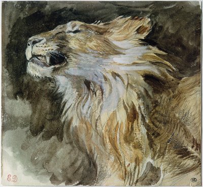 A cabeça de um leão (aguarela sobre papel) de Ferdinand Victor Eugene Delacroix