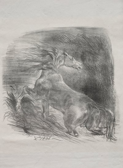 O cavalo selvagem, ou cavalo assustado, deixando a água, 1828. de Ferdinand Victor Eugene Delacroix