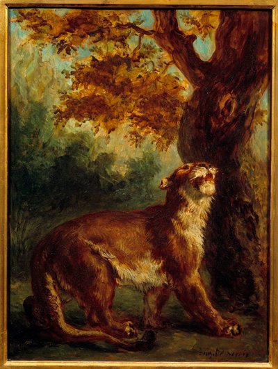 A puma também diz que a leoa procura uma presa. Pintura de Eugene Delacroix (1798-1863) de Ferdinand Victor Eugene Delacroix