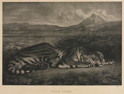 Royal Tiger, 1829. de Ferdinand Victor Eugene Delacroix