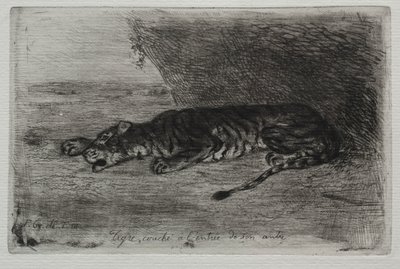Tigre deitado na entrada do seu covil. de Ferdinand Victor Eugene Delacroix