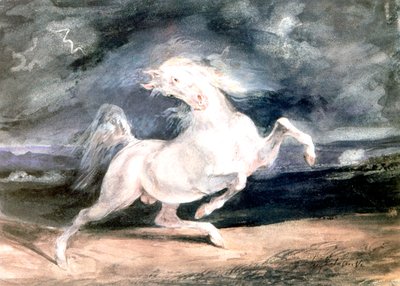 Cavalo branco, século XIX de Ferdinand Victor Eugene Delacroix