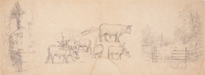 Vários esboços de vacas e touros de Ferdinand von Wright