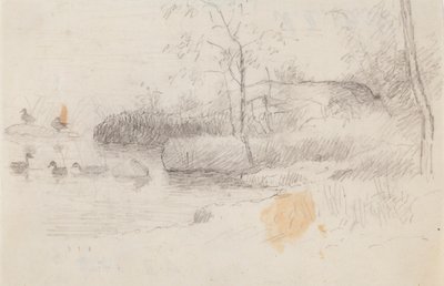 Paisagem com patos de Ferdinand von Wright