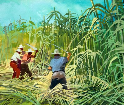Corte de cana-de-açúcar na Argentina de Ferdinando Tacconi