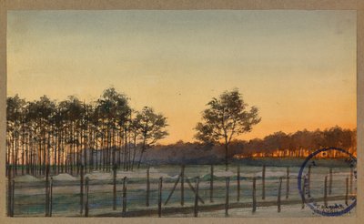 Vista do Bois des Sapins de Fernand Barbier