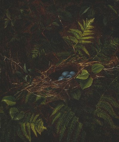 Ninho de pássaro e fetos de Fidelia Bridges