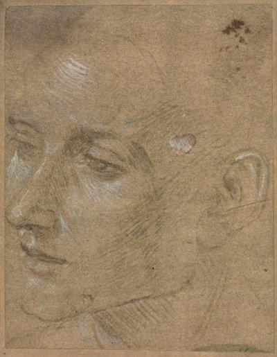 Cabeça de um jovem, segundo semestre 1400. de Filippino Lippi