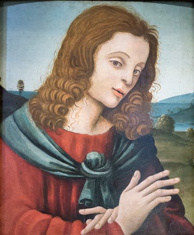 São João Evangelista, seguidor de Filippino Lippi (óleo sobre madeira) de Filippino Lippi