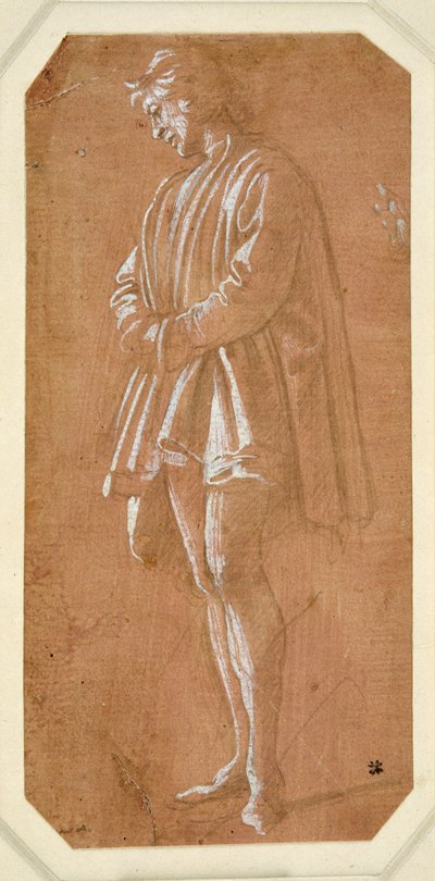 Estudo de um jovem de pé com as mãos dobradas nas mangas (ponto metálico sobre papel preparado cor-de-rosa, elevado com a cor branca do corpo) de Filippino Lippi
