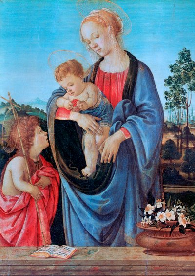 A Virgem e o Menino com São João, 1480 de Filippino Lippi