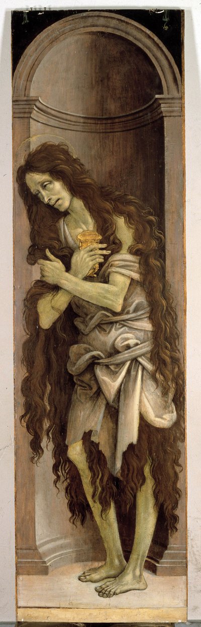 Imagem desconhecida de Filippino Lippi