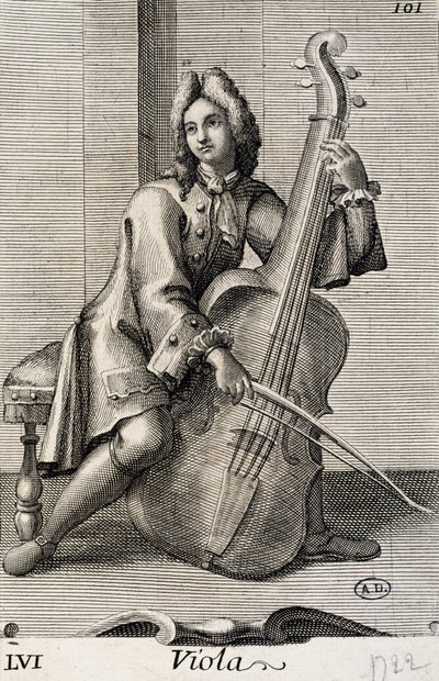 Homem a tocar viola de Filippo Bonanni