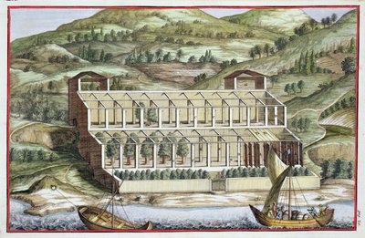 Estrutura de uma estufa, de "Hespérides", de Giovanni Battista Ferrari, gravada por Cammillo Congio (fl.1630), publicada em 1646 de Filippo Gagliardi