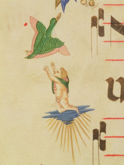 Missal 515 f.13v Um querubim encapotado tentando pegar um pássaro voador, de uma borda decorativa, detalhe de um livro de coro executado antes de 1449 detalhe de pergaminho de 56721 de Filippo di Matteo Torelli