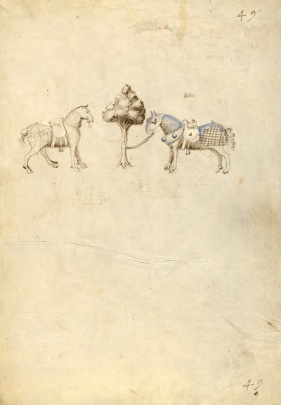 Dois cavalos de Fiore Furlan dei Liberi da Premariacco