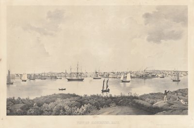 Vista de Gloucester, Massachusetts. de Fitz Henry Lane