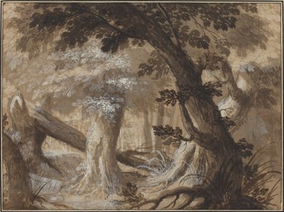 Interior da Floresta de Flemish 17th Century
