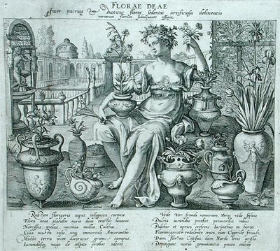 Flora (gravura) de Flemish School