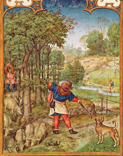 Fol.11v O Mês de Novembro: Colheita de Bolotas para os porcos e Caça, do Breviarium Grimani, c.1515 de Flemish School