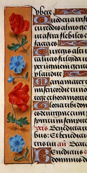 Sra. 1058-1975, f.16r: detalhe de uma borda floral de um Livro de Horas, c.1500 (vellum) de Flemish School