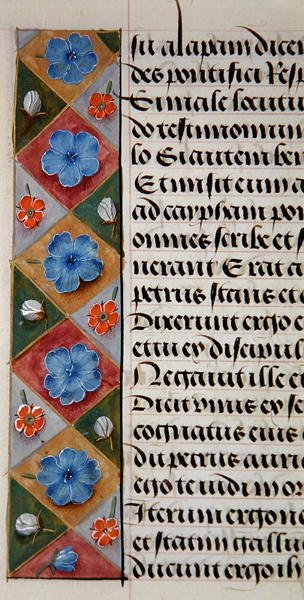 Sra. 1058-1975, f.17v: detalhe de uma borda floral de um Livro de Horas, c.1500 (vellum) de Flemish School