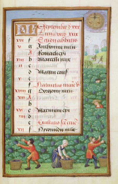 Ms 1058-1975 f9r Gathering Grapes, página de calendário iluminada para setembro, de um livro de horas, c.1500 de Flemish School