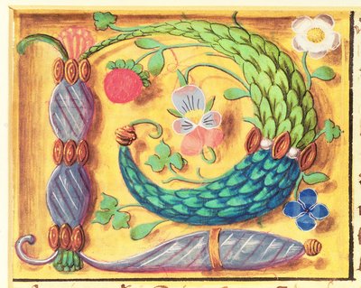 Ms 134 Illuminated letra `P decorado com flores, a partir de um livro de horas, c.1500 de Flemish School