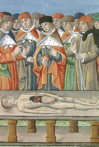 Sra. Hunter 9 f.36r Dissection, de De Medina Fen I. II, por Avicena (980-1037) de Flemish School