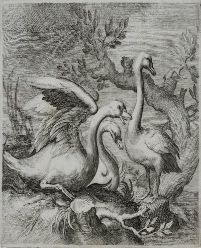Gravura do velho mestre de Flemish School