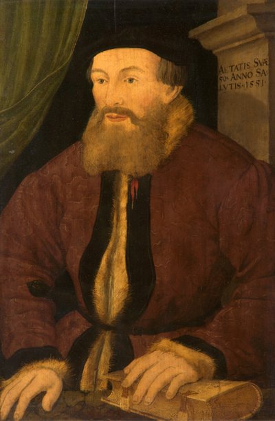 Retrato de um homem, 1551 de Flemish School