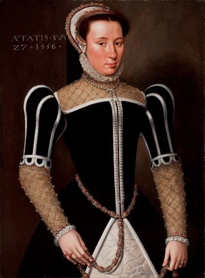 Retrato de uma mulher, 1556 de Flemish School