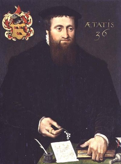 Retrato de um académico, possivelmente um matemático, com 36 anos (painel) de Flemish School
