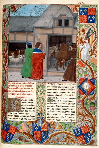 Real 14 E. VI, f.215, Autor com cavalos e ovelhas, de 