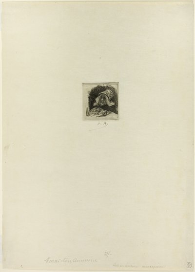 Jardineiro flamengo de Félicien Rops