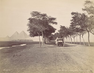Cairo. Beco das Pirâmides, c. 1870. de Félix Bonfils