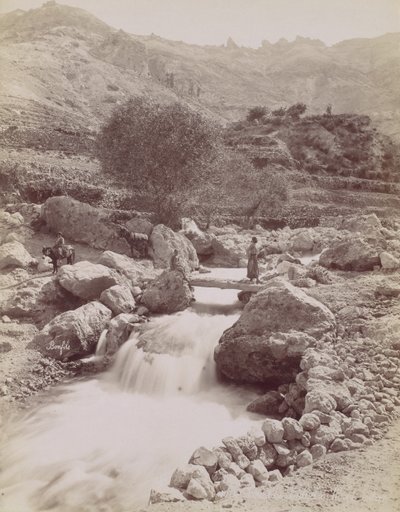 Cours du Kadisha, Monte Lisboa, 1860-80, carro impresso. 1870. de Félix Bonfils