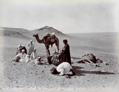 Cameleiros egípcios durante uma pausa no deserto. Em primeiro plano, dois membros do pequeno grupo parecem estar rezando de Félix Bonfils