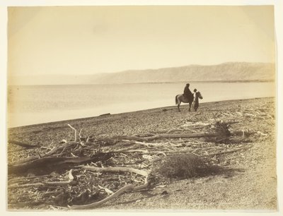 Floresta. de Félix Bonfils