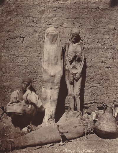Múmias egípcias, c. 1870. de Félix Bonfils
