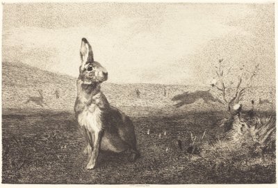 A lebre de Félix Bracquemond after Albert de Balleroy