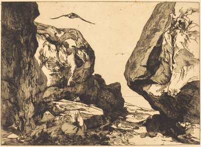 Gorge in the Rocks (Gorge dans les rochers) de Félix Bracquemond after Jules Laurens
