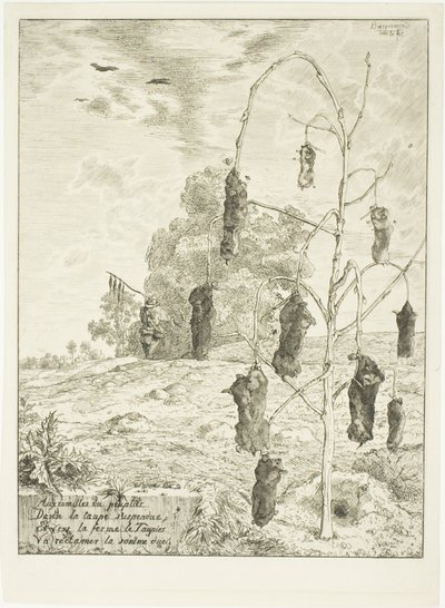 Toupeiras de Félix Henri Bracquemond