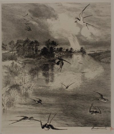 Andorinhas de Félix Henri Bracquemond
