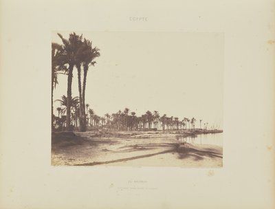 El-Nâcérah. Tamareiras, margens do Nilo e barcos de Félix Teynard